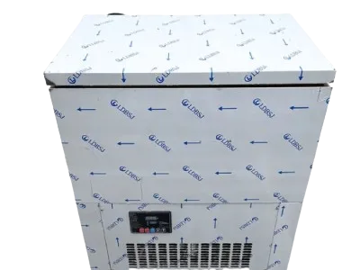 Double-Molds-Fast-Cooling-Popsicle-Maker-Machine-Sorbet-LJB160-2-1600W-220V-50Hz--removebg-preview