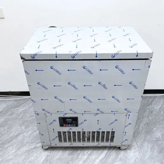 Double-Molds-Fast-Cooling-Popsicle-Maker-Machine-Sorbet-LJB160-2