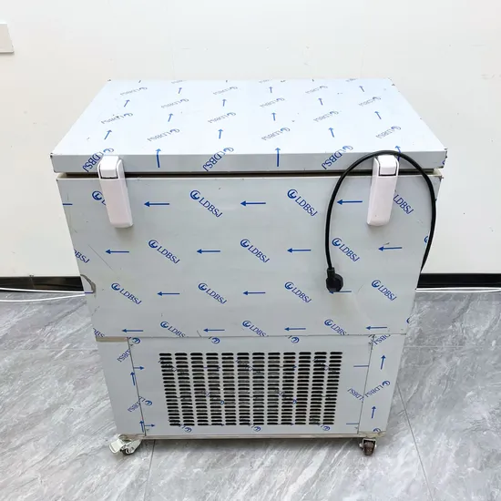 Double-Molds-Fast-Cooling-Popsicle-Maker-Machine-Sorbet-LJB160-2